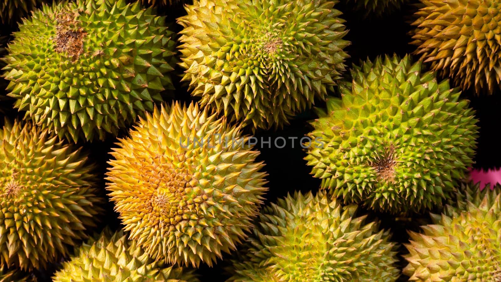 Durian fruit for sale in market. Tropical Fruit Durian in Asia