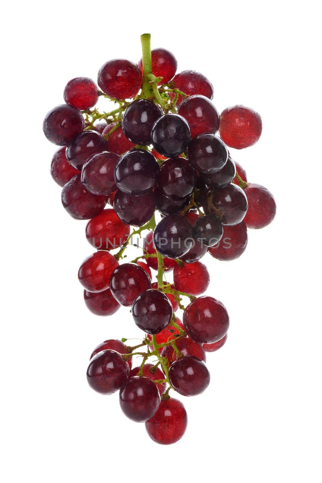 isolate bunch of fresh red grapes on white background