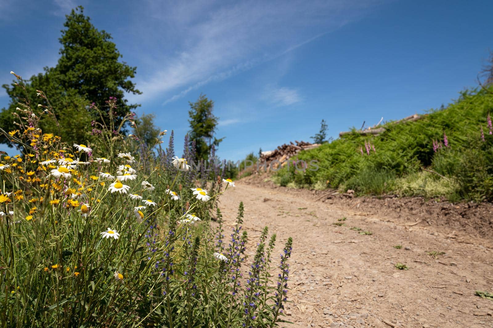 Long distance hiking trail Bergischer Panoramasteig, Bergisches Land, Germany