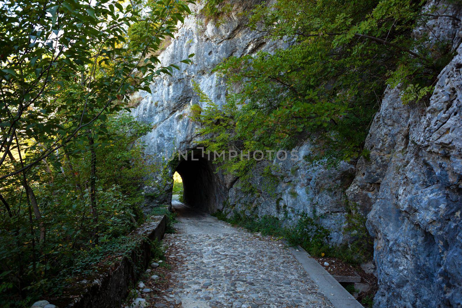 The pathway of the Mount Cumieli ring, Friuli Venezia Giulia