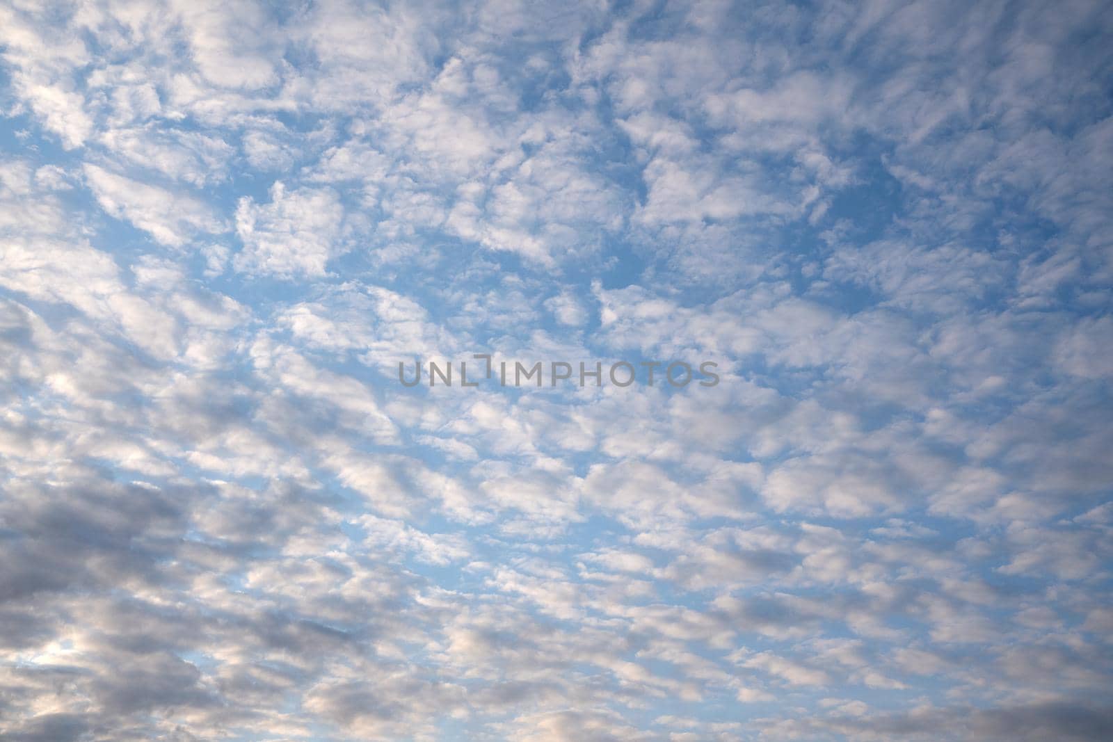 View to sky with fleecy clouds