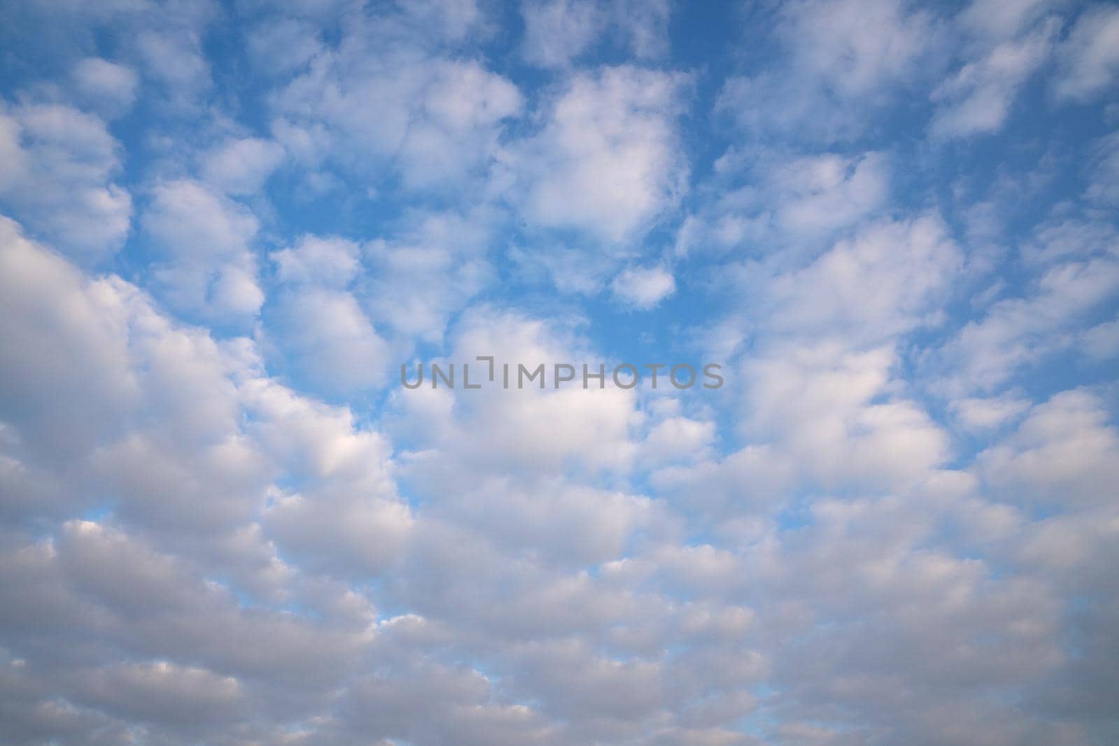 View to sky with fleecy clouds