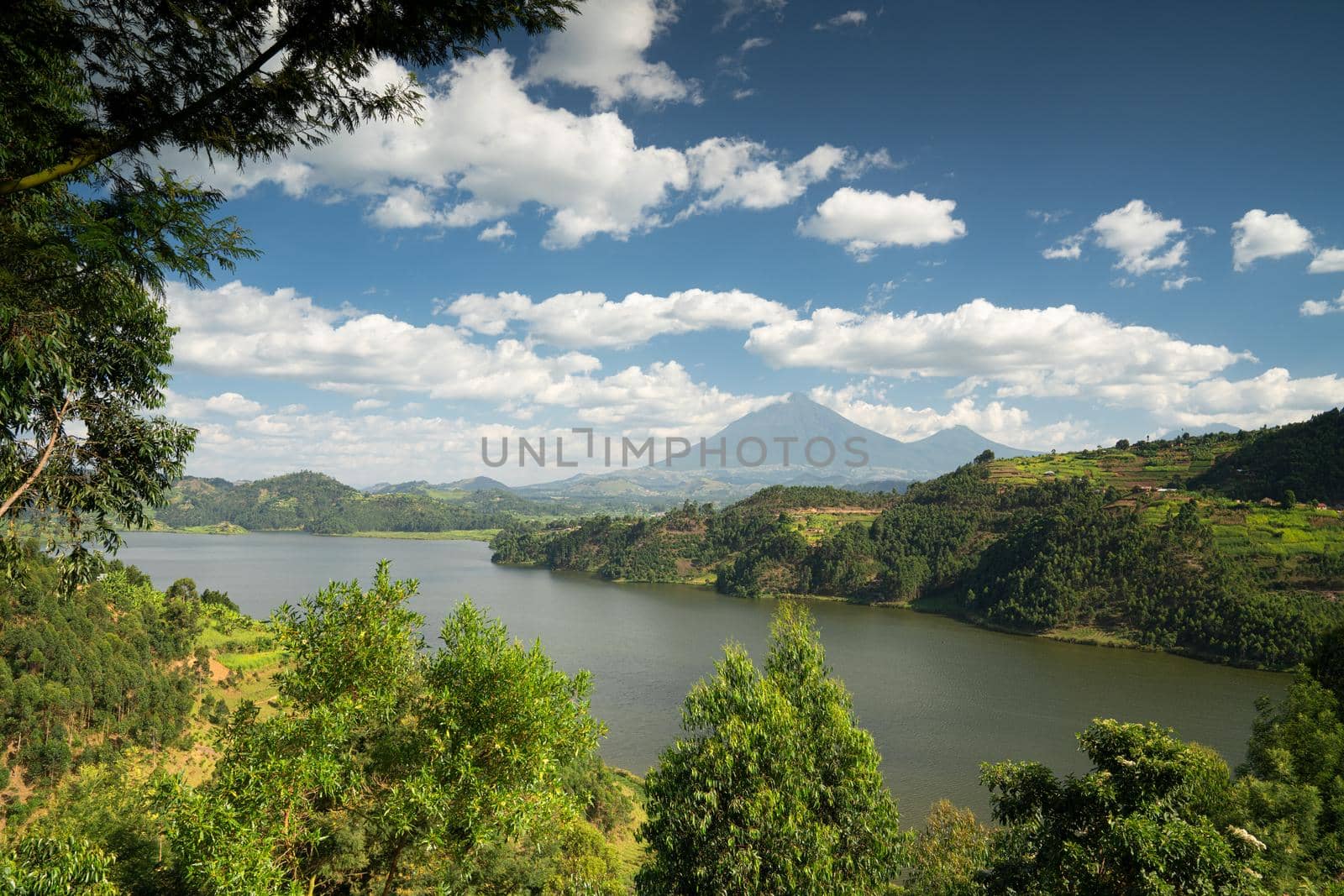 Panoramic image of Lake Mulehe, Uganda, Africa