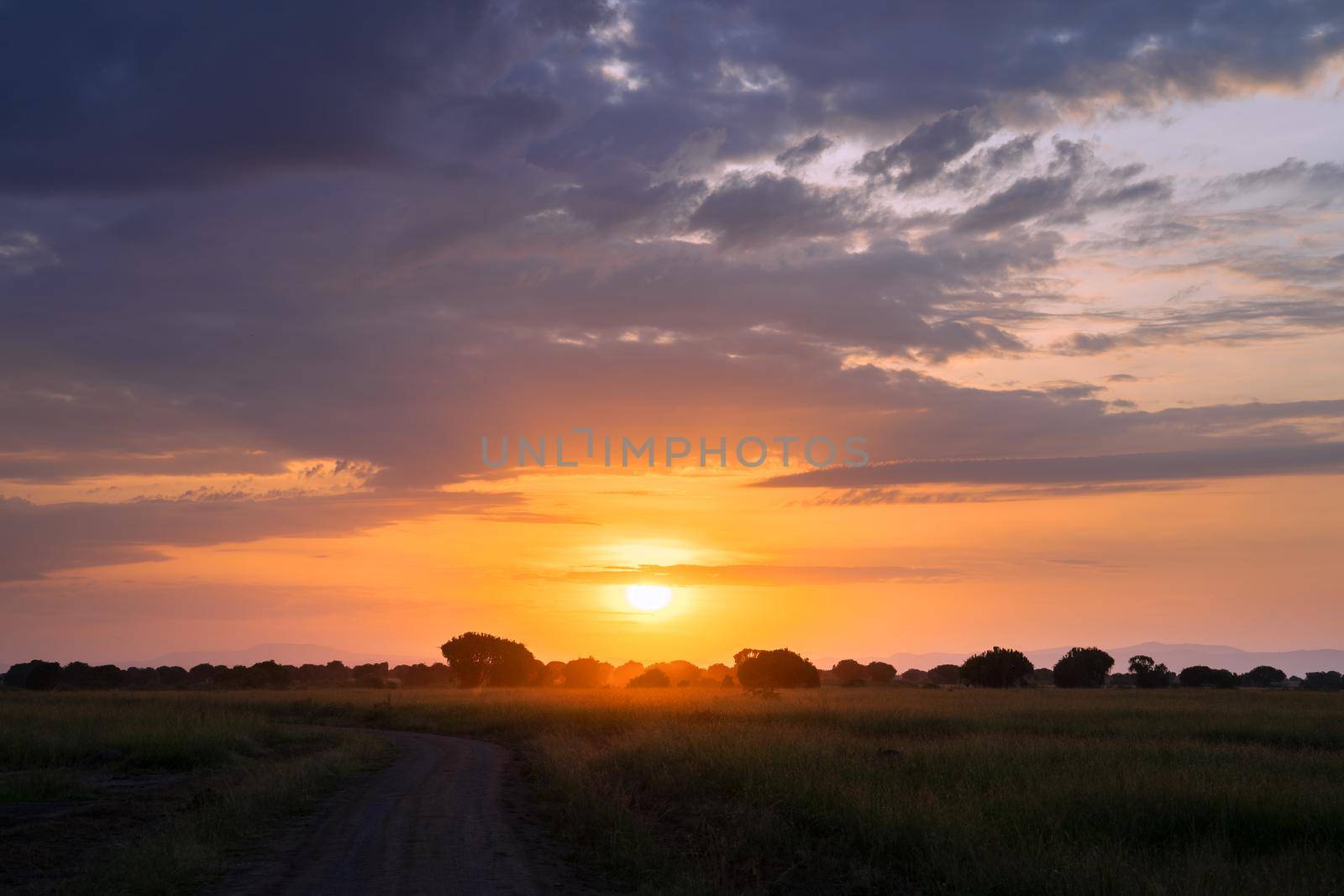 Panoramic image of the landscape of Queen Elizabeth National Park at sunrise, Uganda