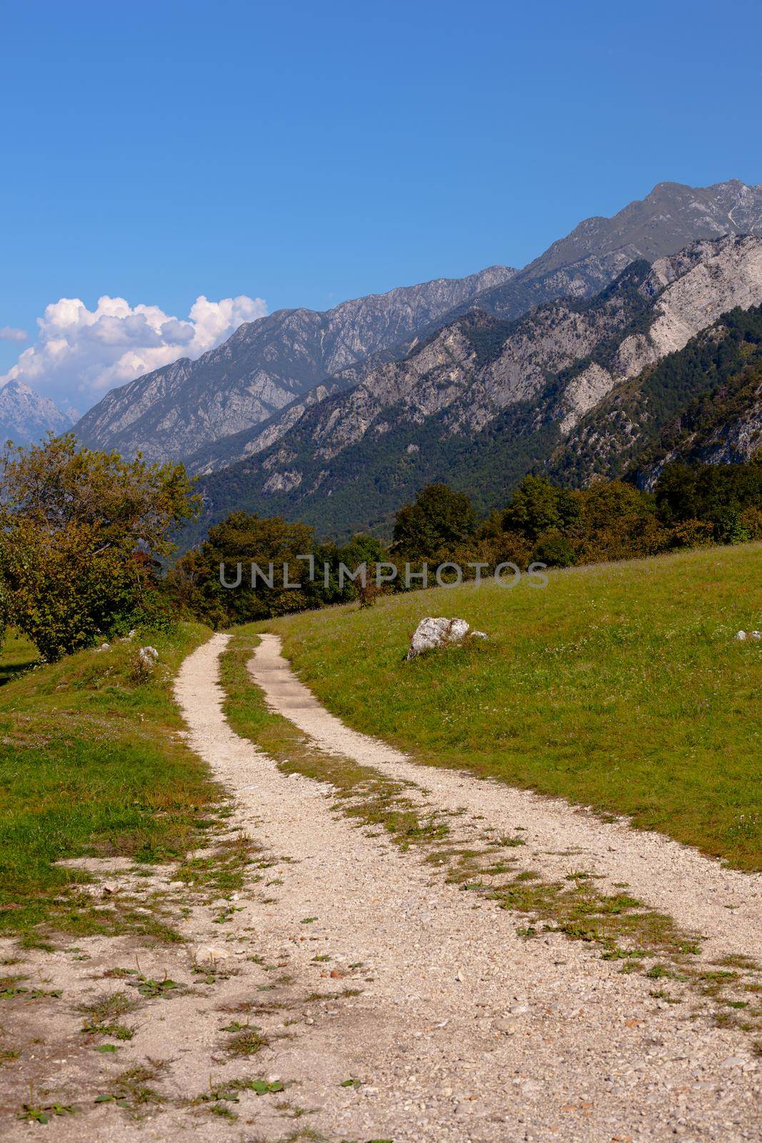 The pathway of the Mount Cumieli ring, Friuli Venezia Giulia