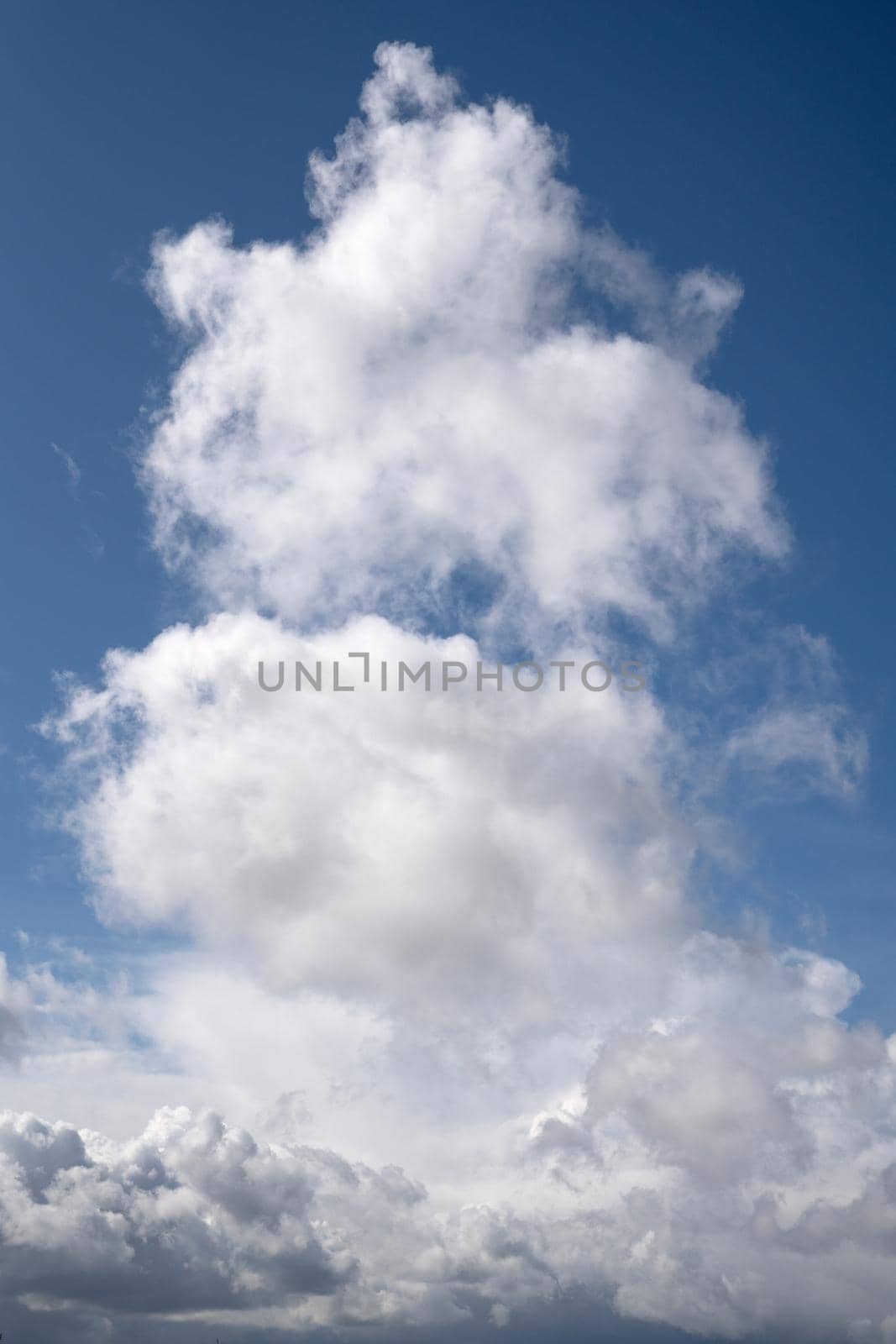 View to sky with cumulus clouds