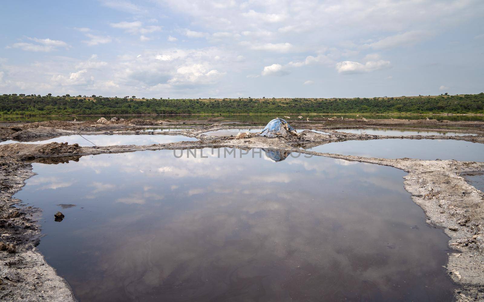Panoramic landscape, National Parks of Uganda, Africa