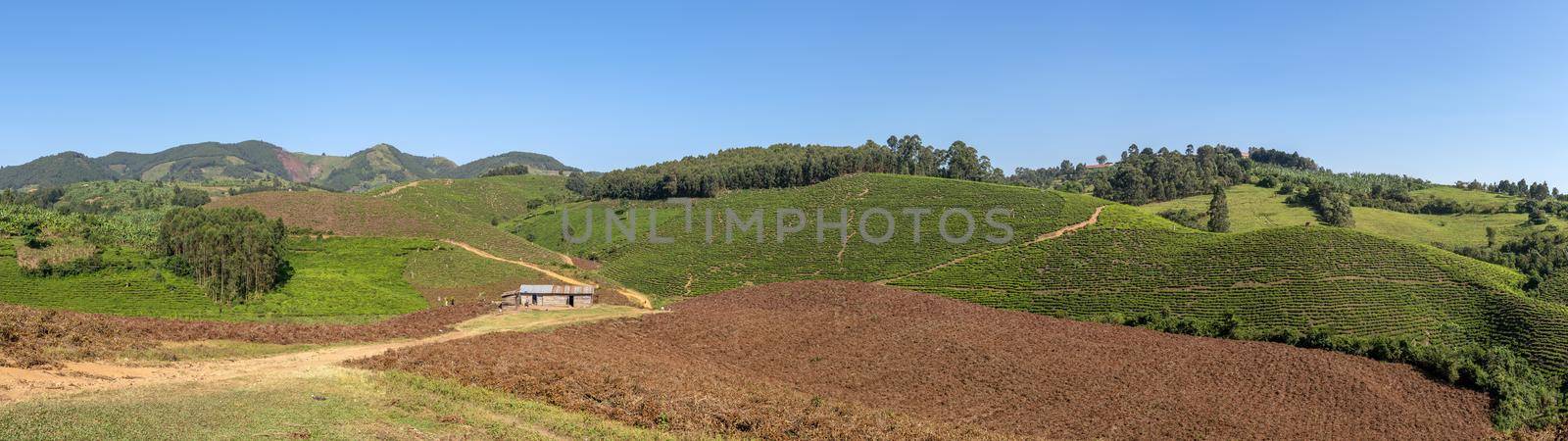 Panoramic image of rural landscape, Uganda