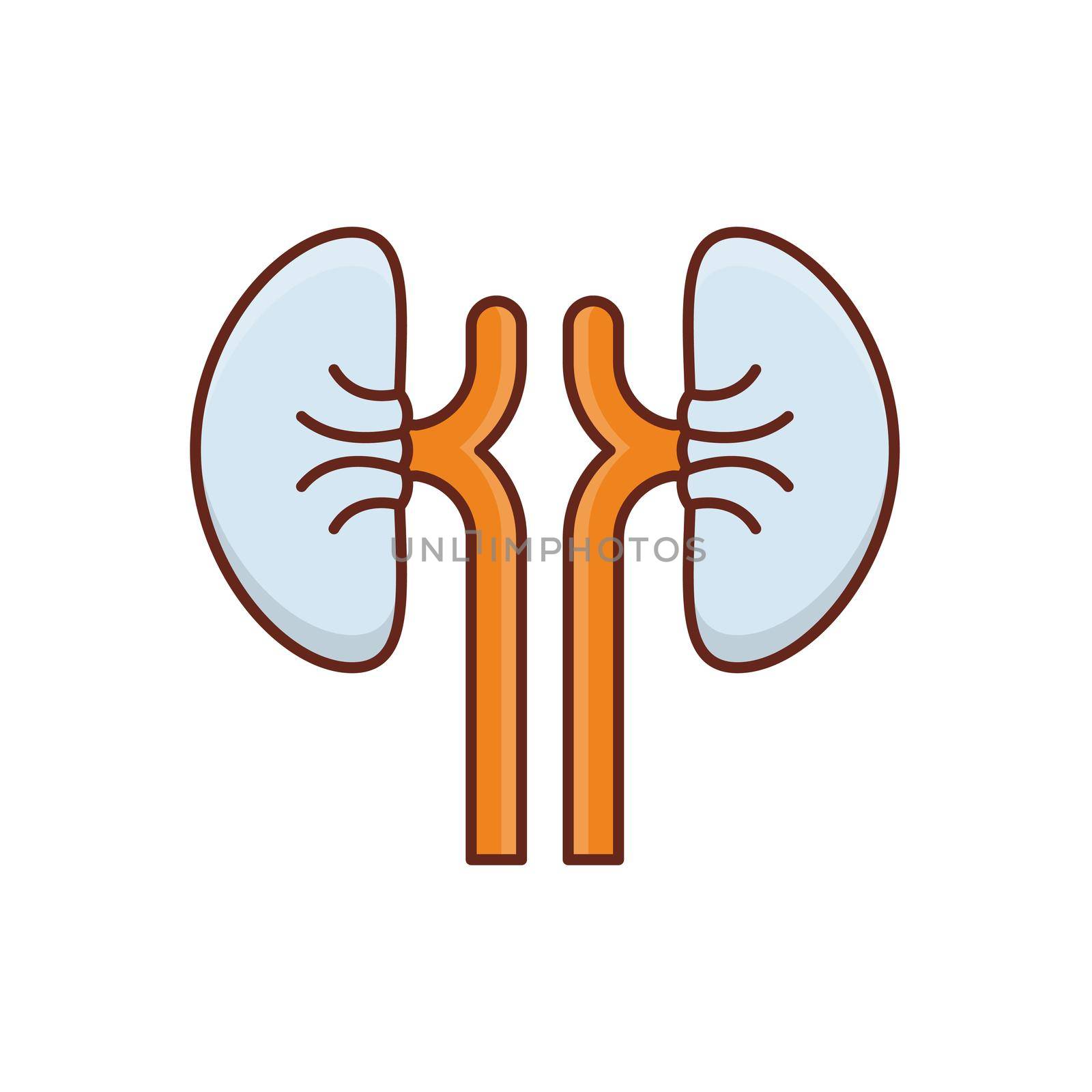kidney by FlaticonsDesign
