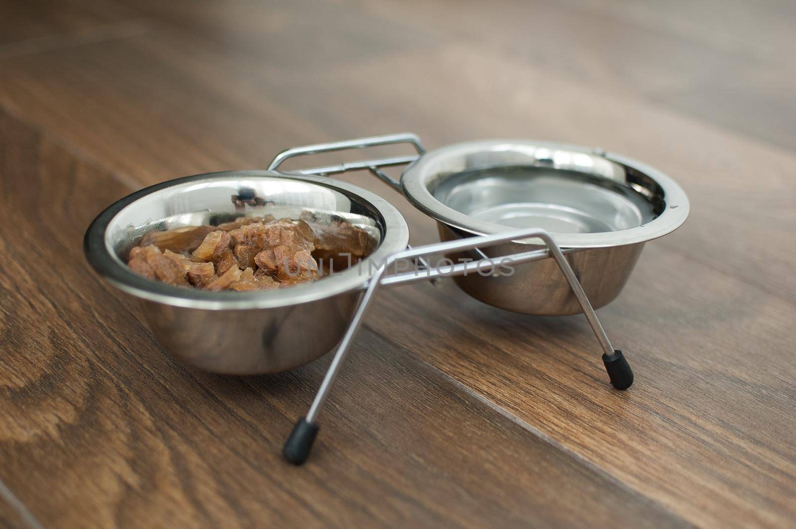 Wet food for dogs and cats in a bowl close up.