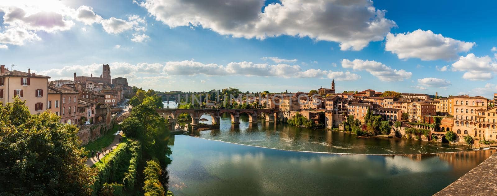 The Tarn and its banks, from the Pont Neuf in Albi, in the Tarn, in Occitanie, France by Frederic