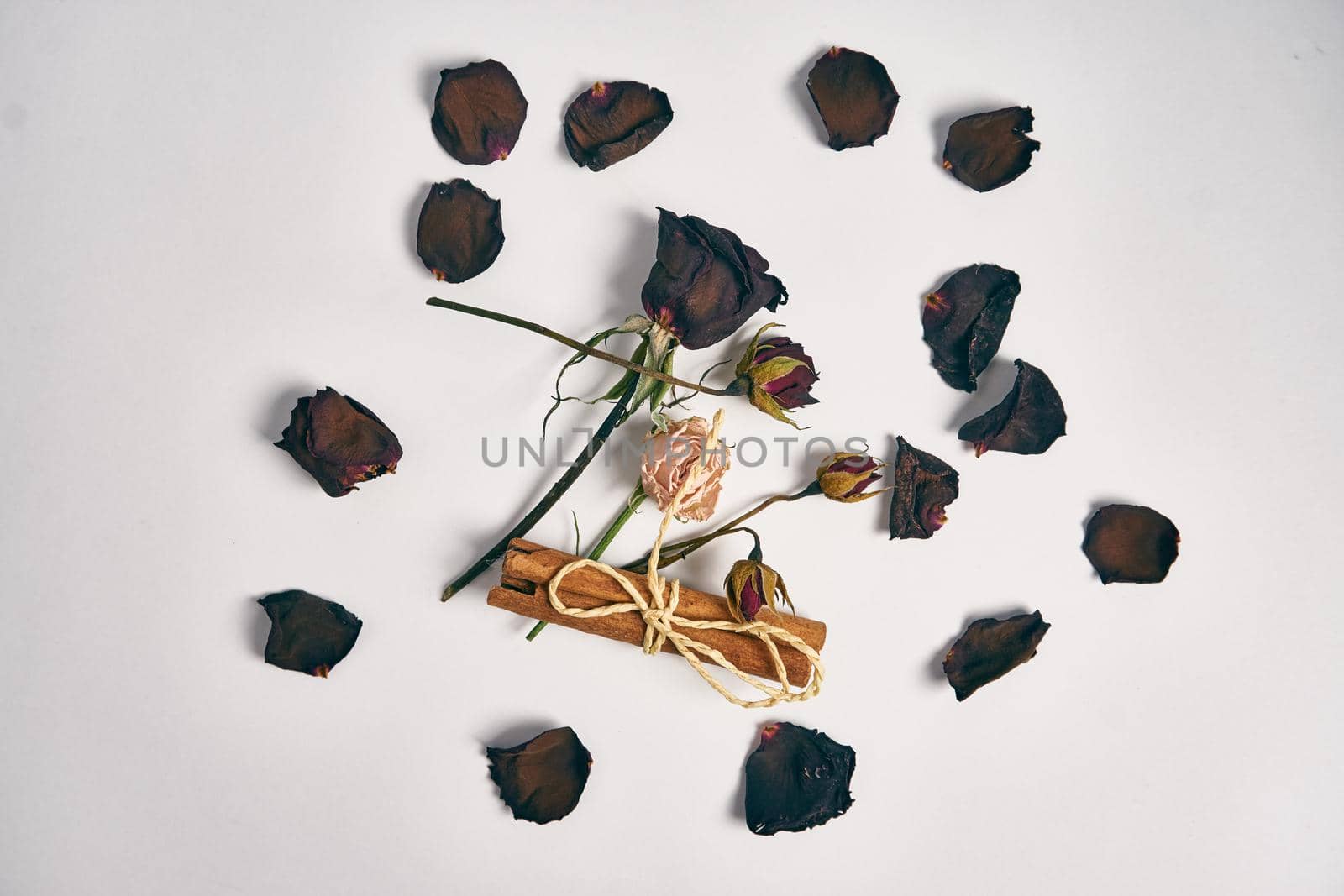 rose petals bouquet of flowers decoration cinnamon beauty by Vichizh