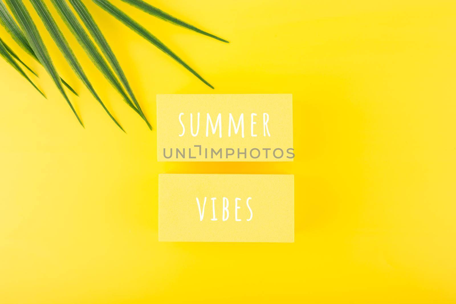 Holiday backdrop with summer vibes inscription on yellow background with palm leaf. Creative summer composition by Senorina_Irina
