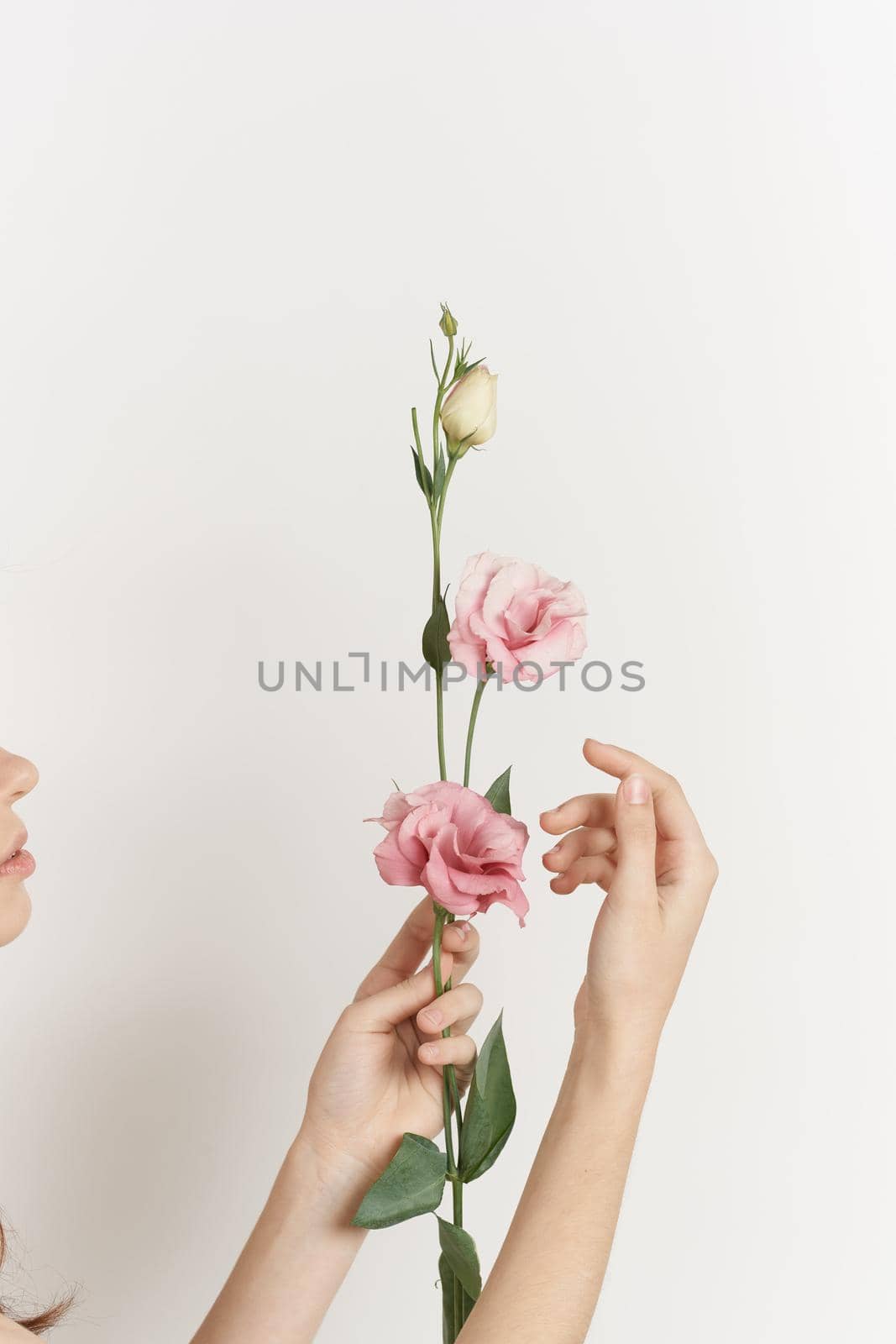 female hand flowers decoration fashion light background. High quality photo