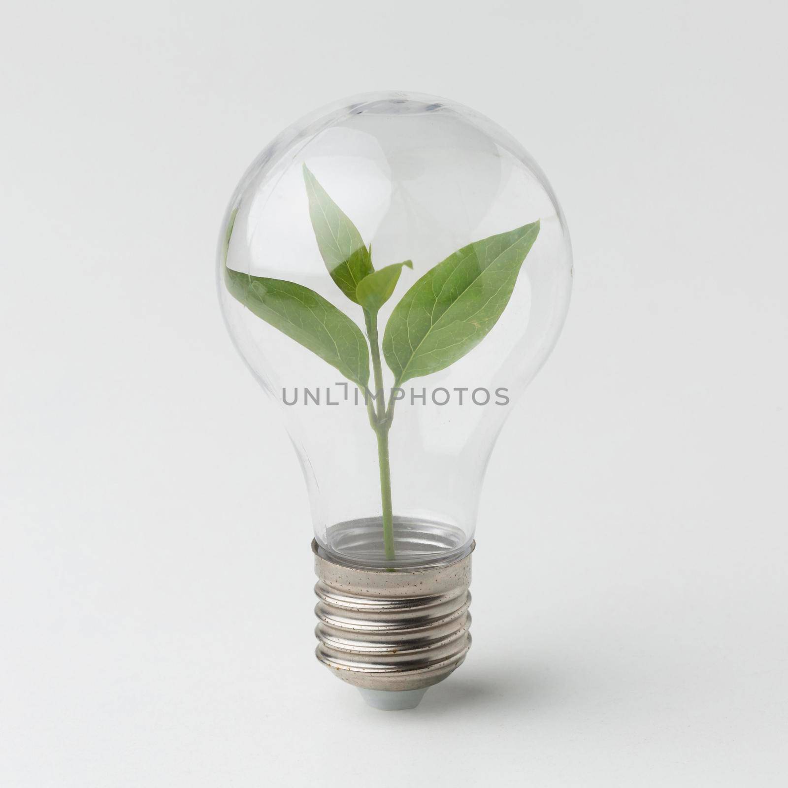 small plant inside light bulb. High quality photo by Zahard
