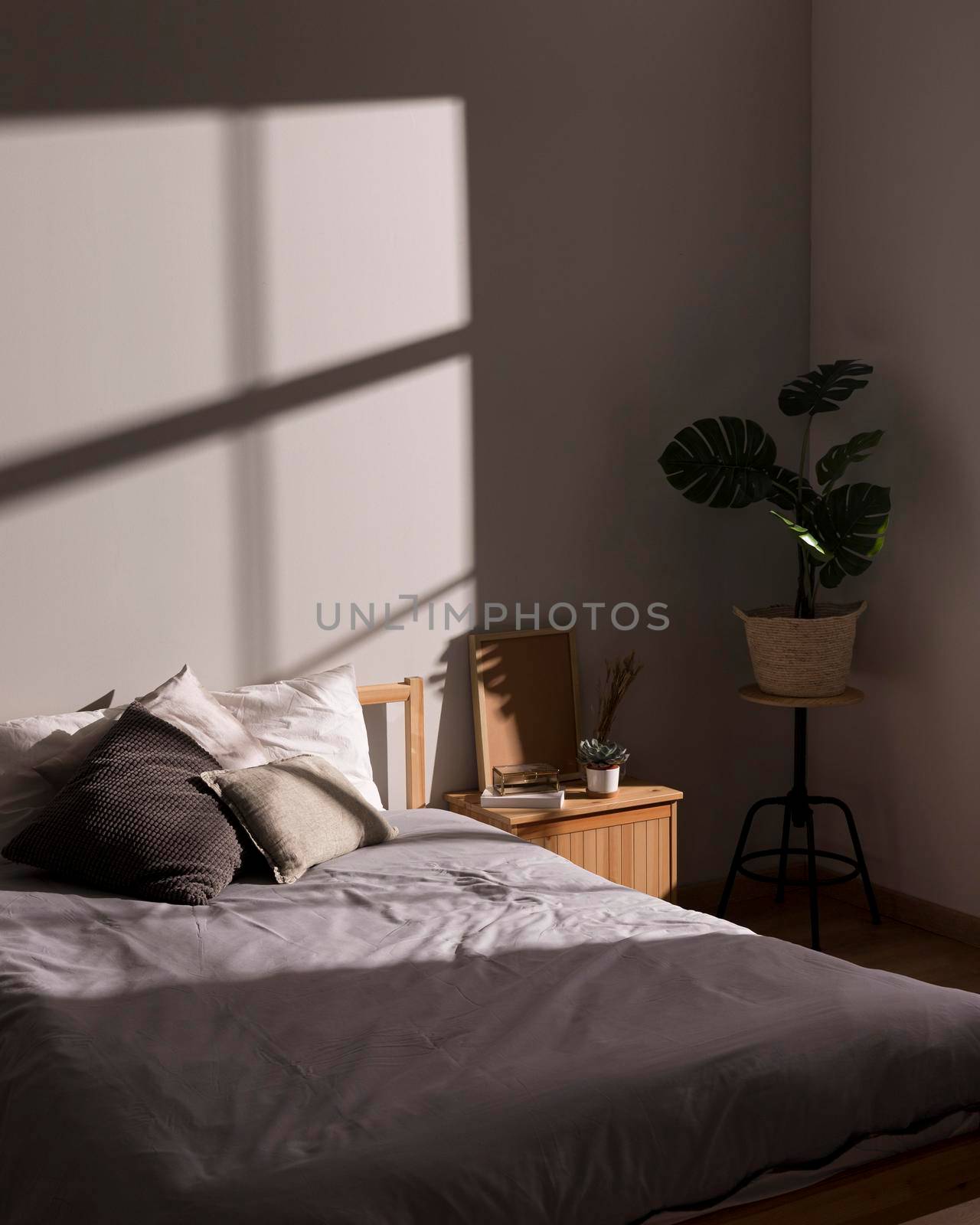 minimalistic bed with interior plant. High quality photo by Zahard