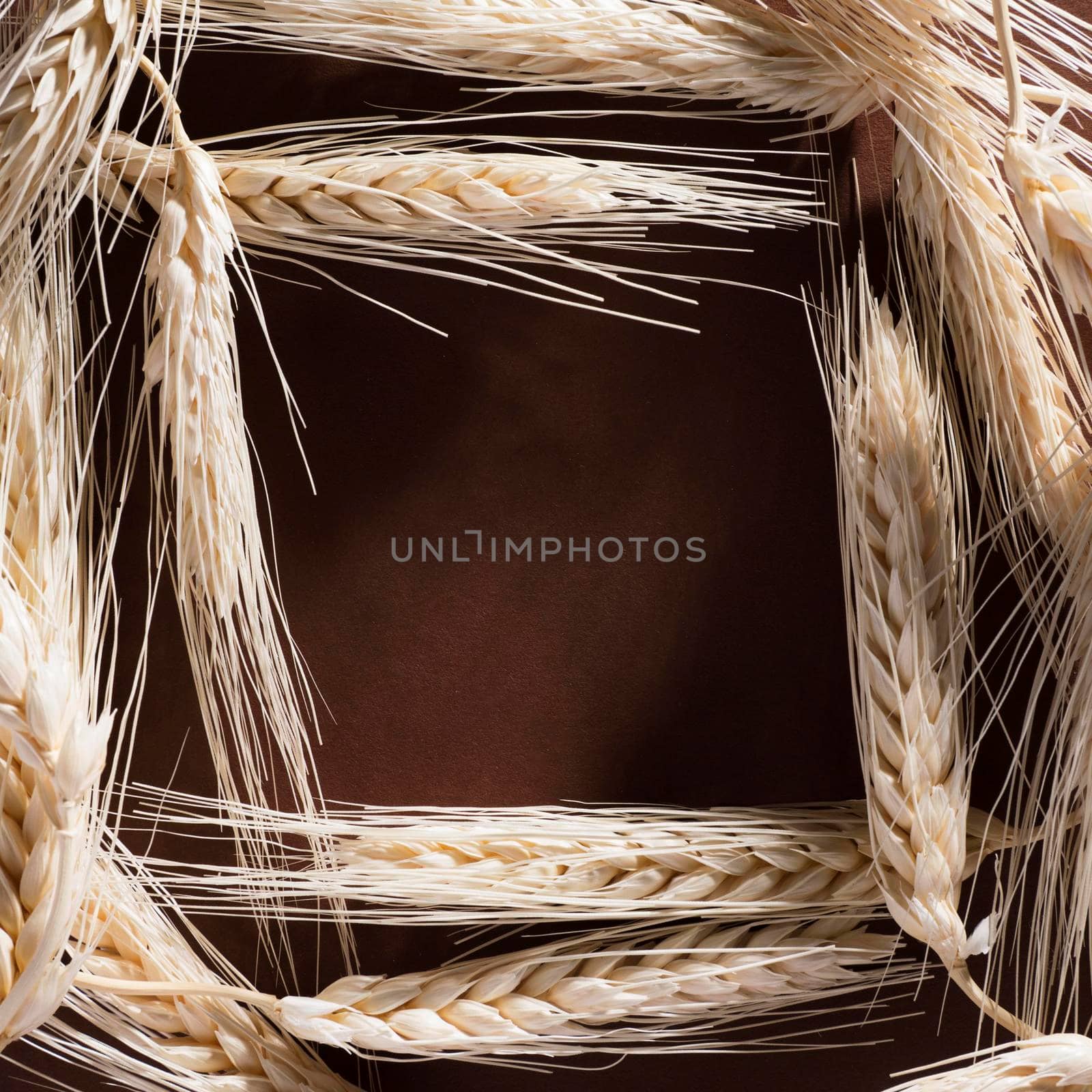 top view organic wheat with copy space. High quality photo by Zahard