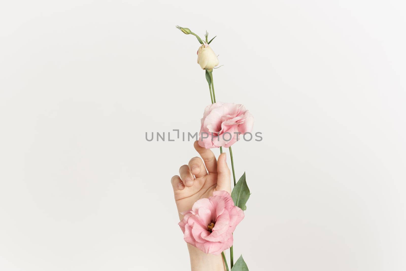 bouquet of flowers in hands close-up light background decoration beauty by Vichizh