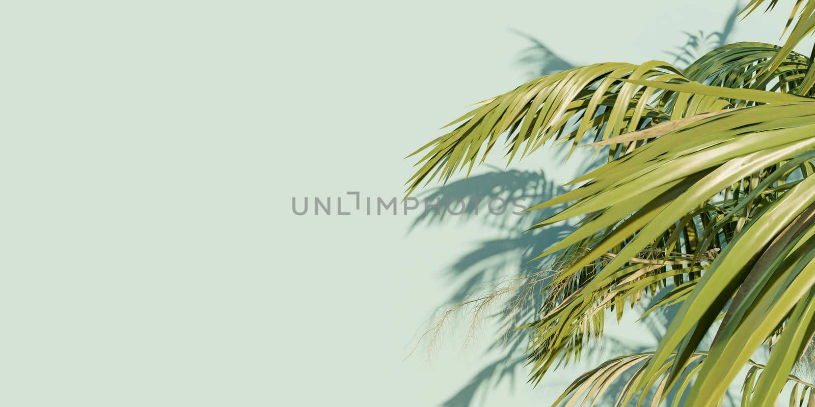 palm leaves banner on blue background with space for text. 3d render