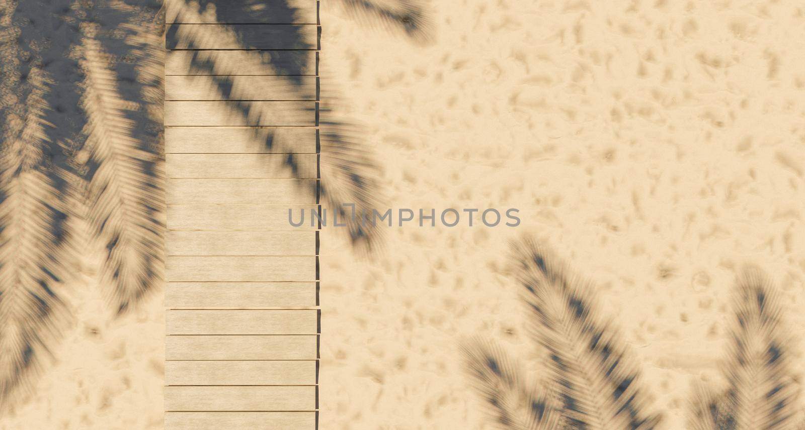 top view of wooden walkway on beach sand with palm trees shadow. summer background. 3d render