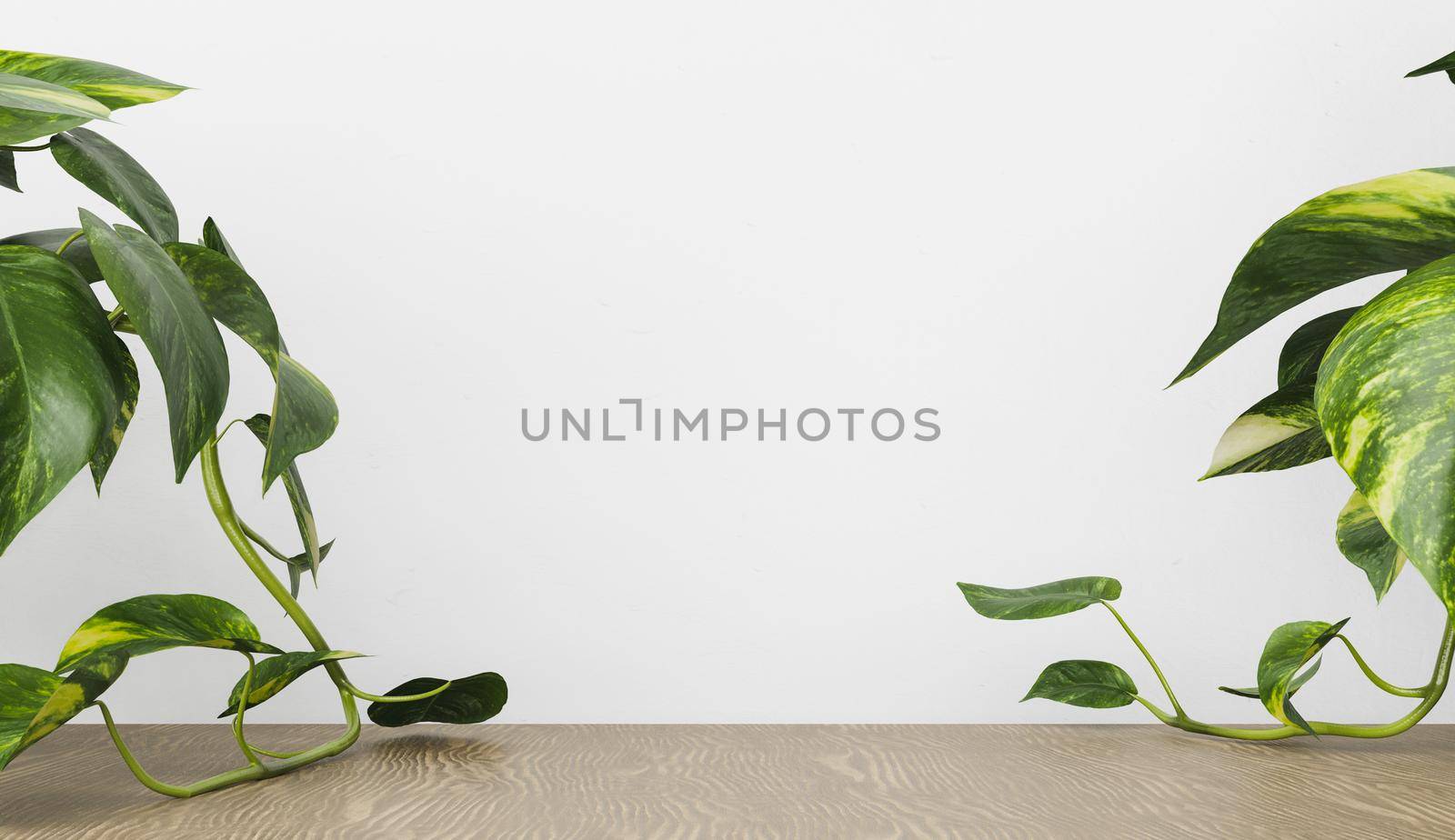 dark wood table with plants on the sides and white back wall for product display. 3d render