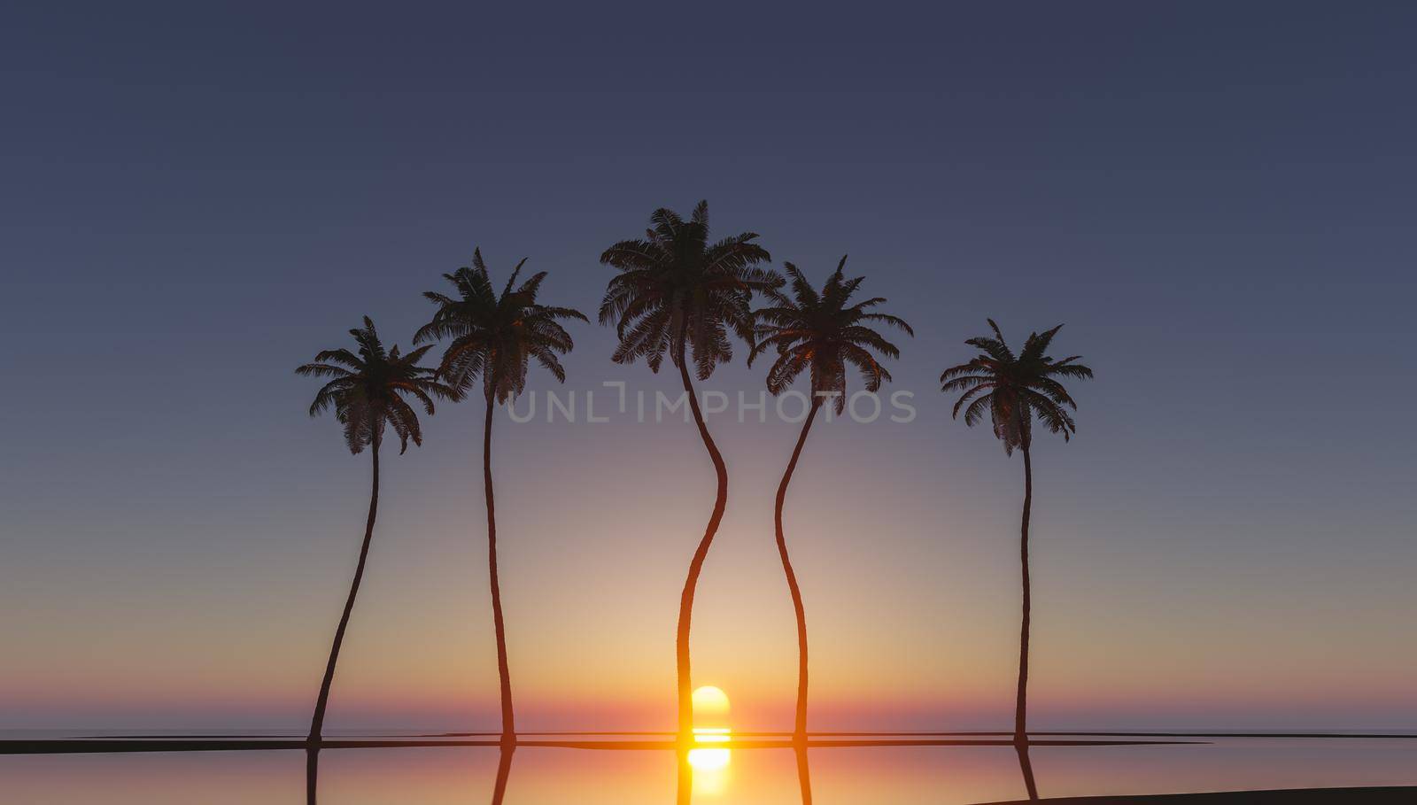 coconut palm trees in tropical sunset with reflections on water and clear sky. 3d render