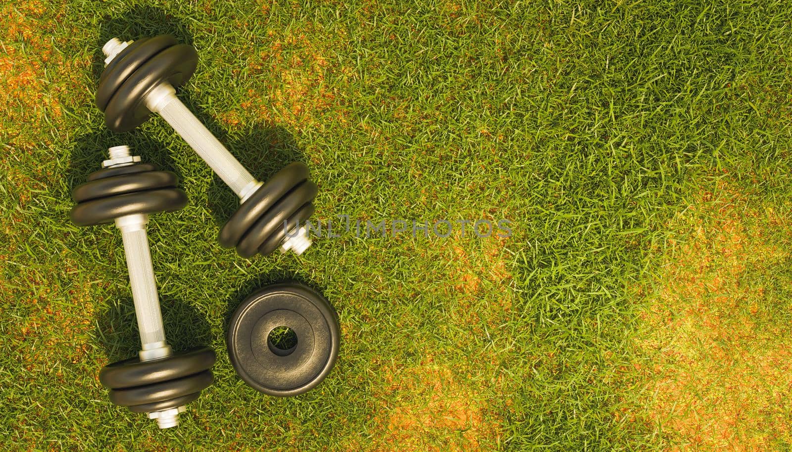 top view of a metal gym dumbbells on grass. outdoor exercise. 3d render