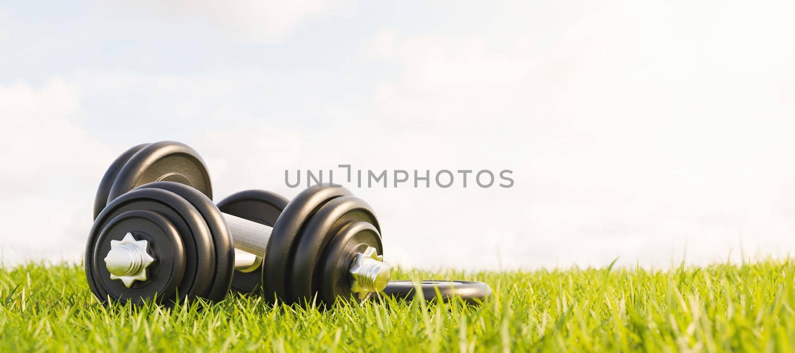 dumbbells stacked on grass in a park by asolano