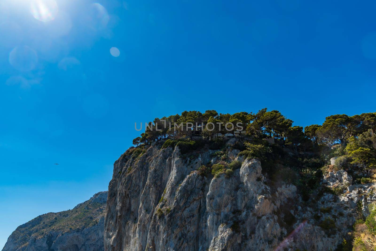 Edge of high cliff full of high green trees at sunny day on Capri island