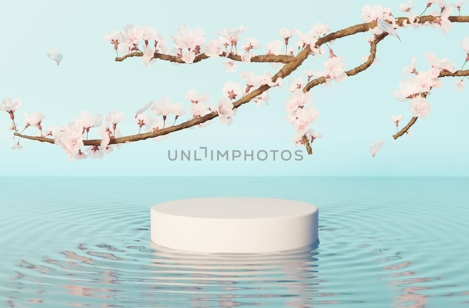 product stand in water with waves on blue background and cherry tree branches with many flowers. 3d render