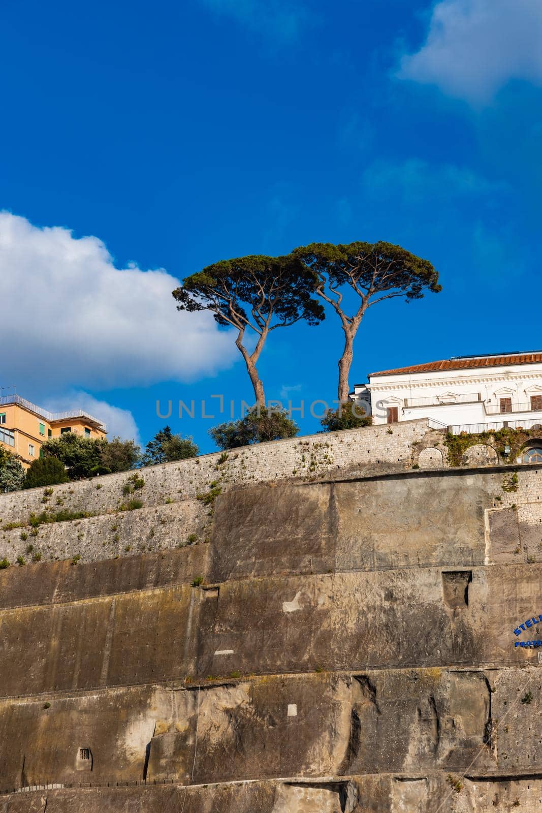 Two high thin alone trees over edge of high cliff by Wierzchu