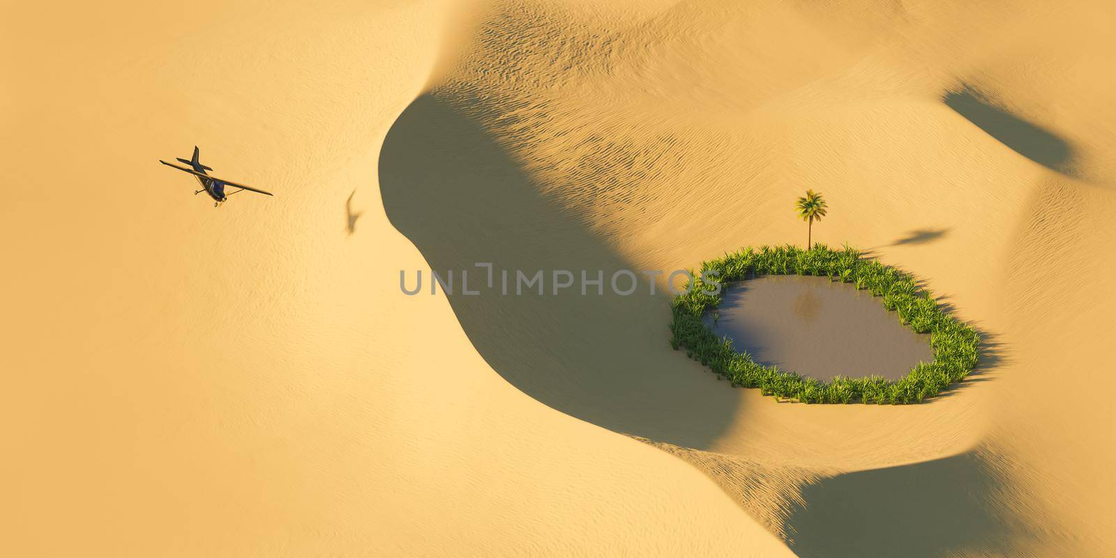 view from the sky of a black airplane over desert dunes with a small oasis full of vegetation. concept of freedom. 3d rendering