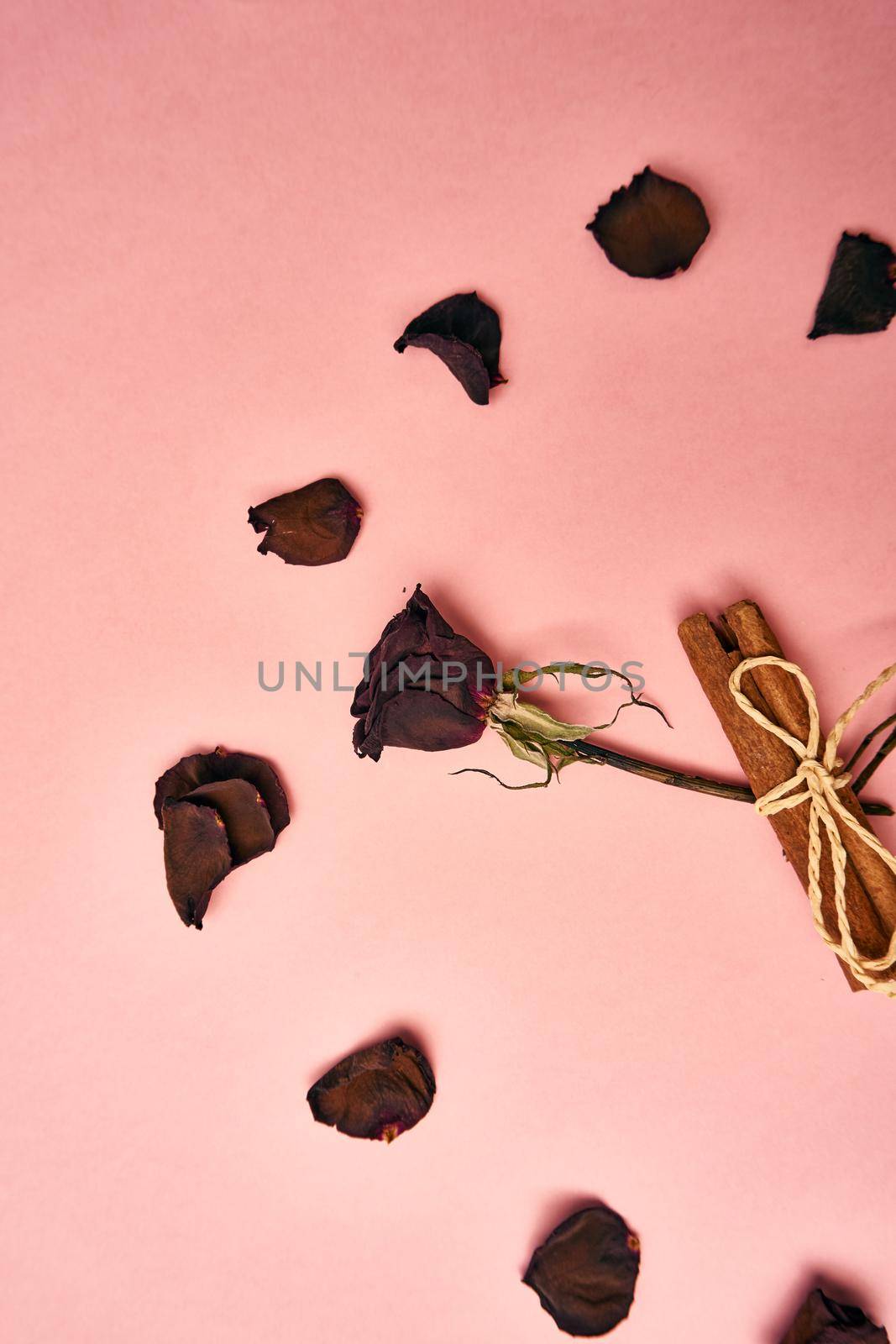 flowers decoration cinnamon pink background top view. High quality photo