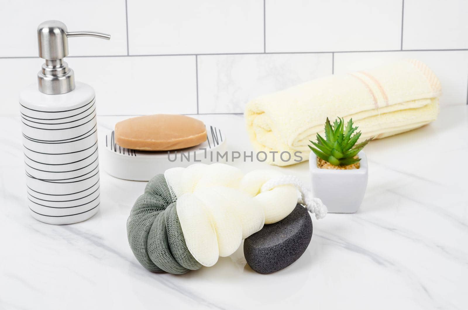 Herb soap, shower sponge and shampoo pump bottle inside a bright bathroom background.