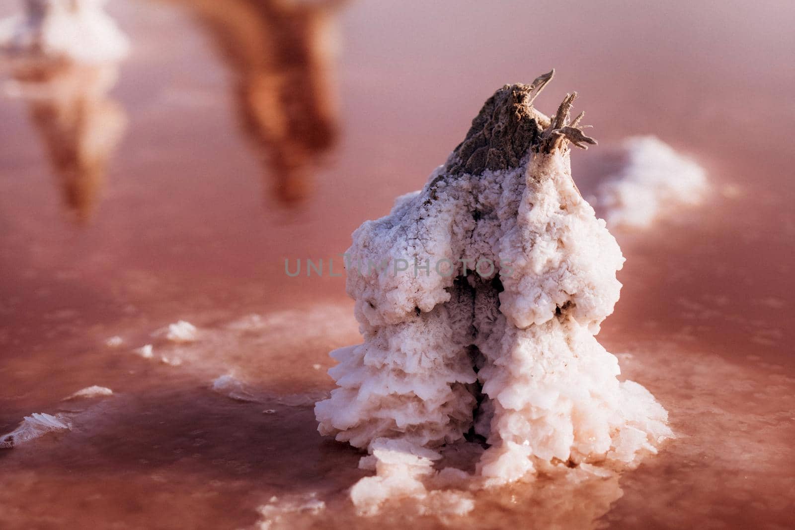 crystals of pink salt on a wooden pillar of a salt mine