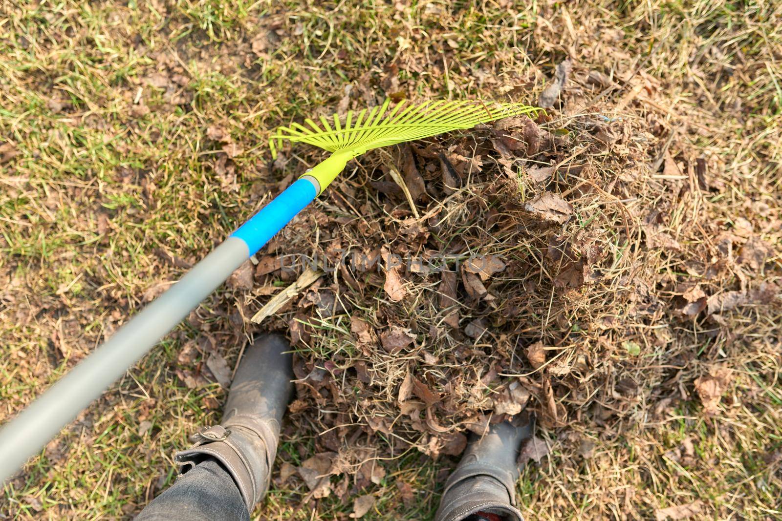 Spring cleaning of the garden with a rake from fallen leaves, dry grass by VH-studio