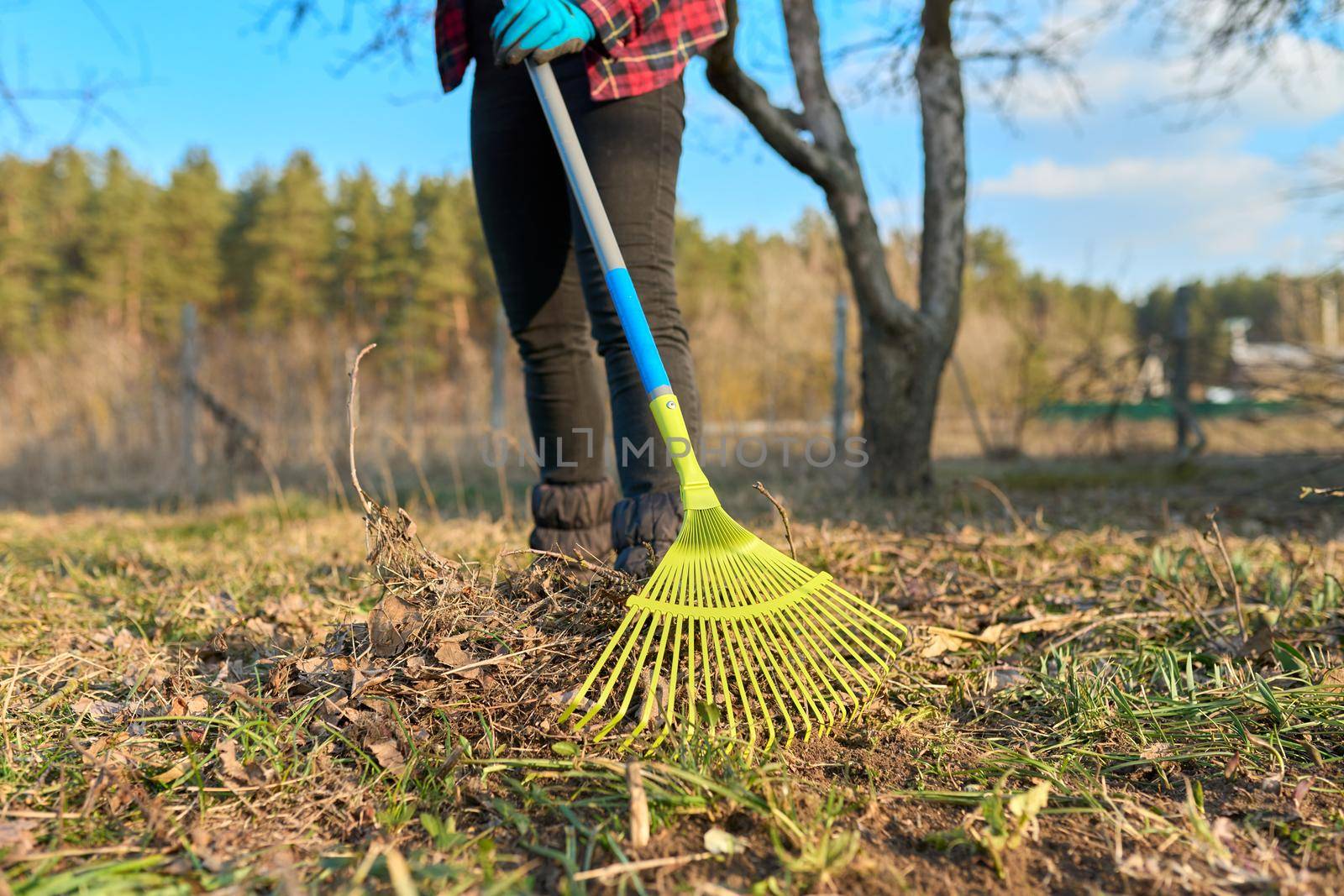 Spring cleaning of the garden with a rake from fallen leaves, dry grass by VH-studio