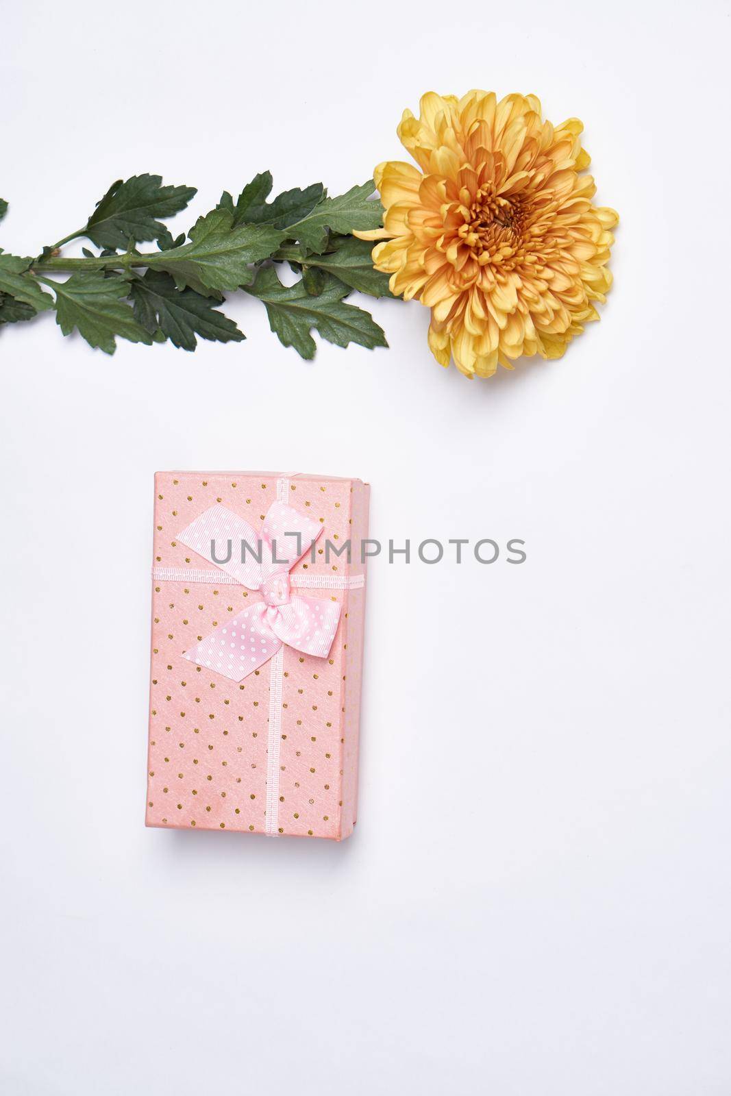 pink box flower bouquet decoration holiday birthday light background. High quality photo
