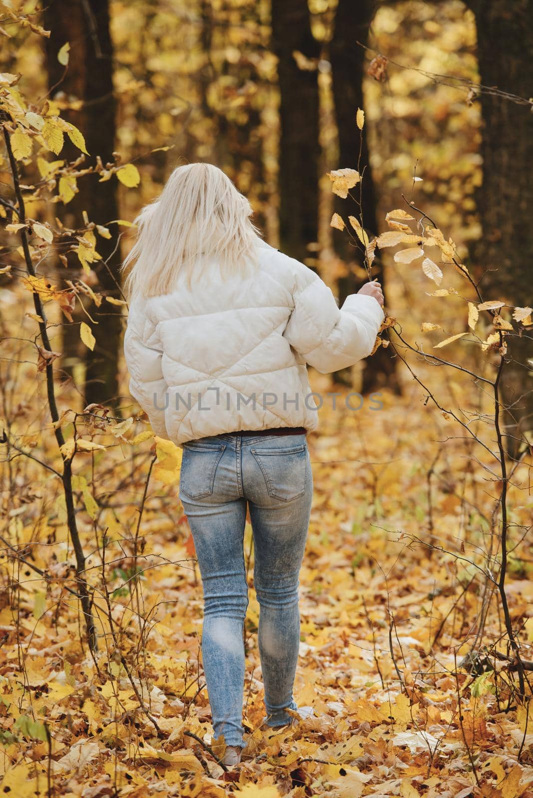 Portrait of a young blonde woman in the autumn forest, with a bouquet of yellow leaves in her hands. Back view.