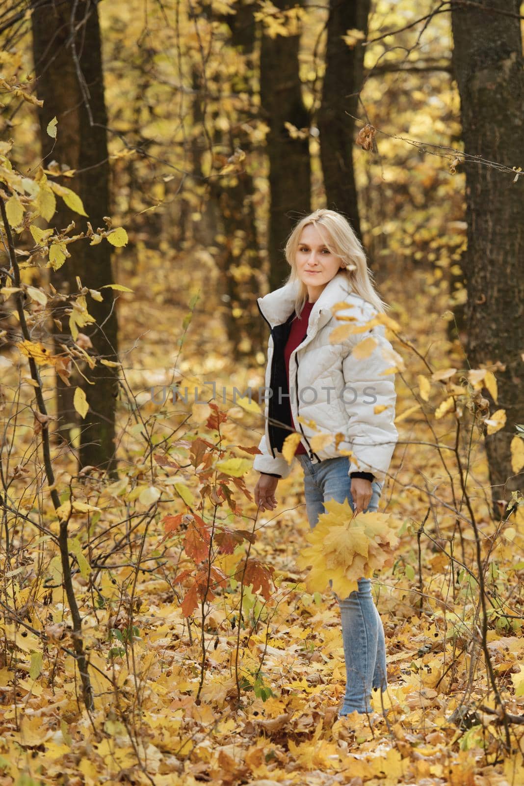 Portrait of a young blonde woman in the autumn forest, with a bouquet of yellow leaves in her hands. by leonik