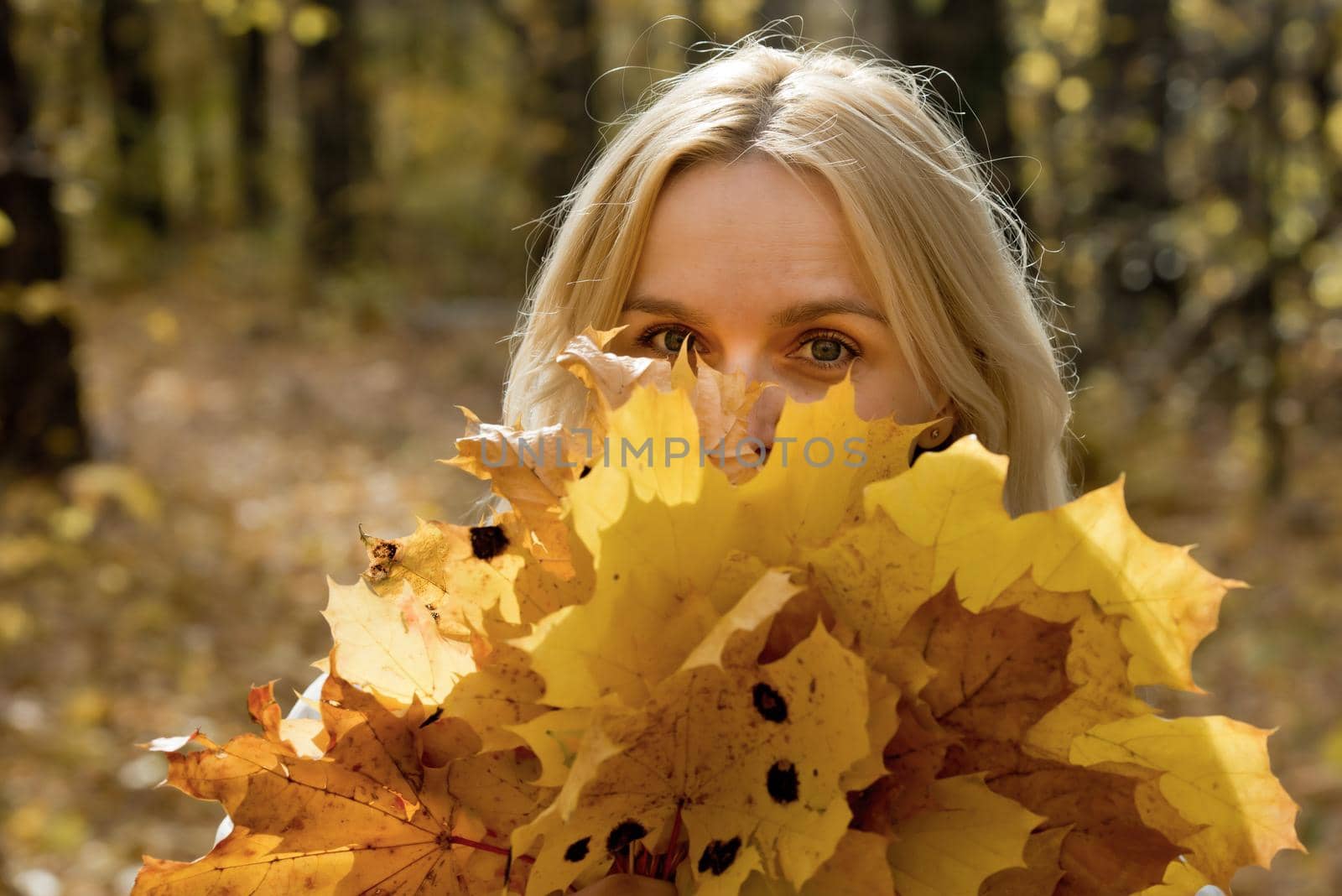 Portrait of a young blonde woman in the autumn forest, with a bouquet of yellow leaves in her hands.