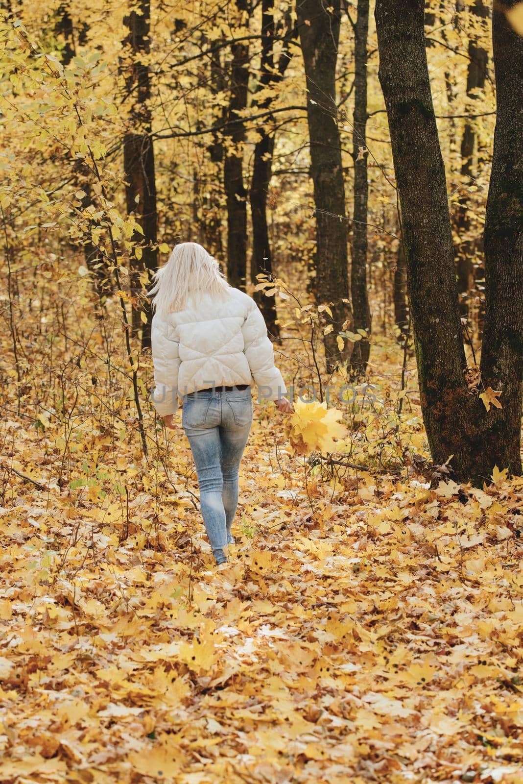Portrait of a young blonde woman in the autumn forest, with a bouquet of yellow leaves in her hands. Back view.