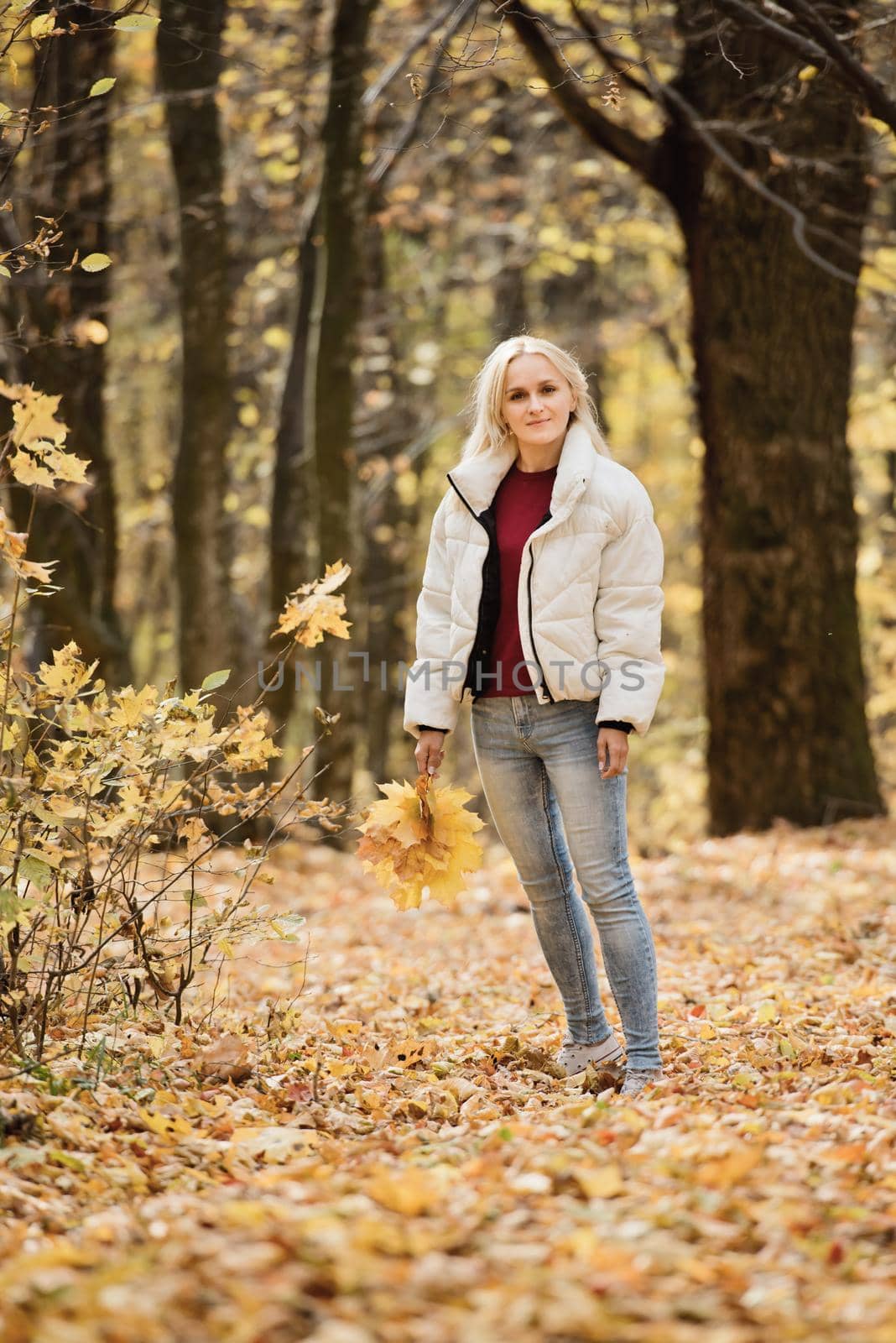 Portrait of a young blonde woman in the autumn forest, with a bouquet of yellow leaves in her hands. by leonik