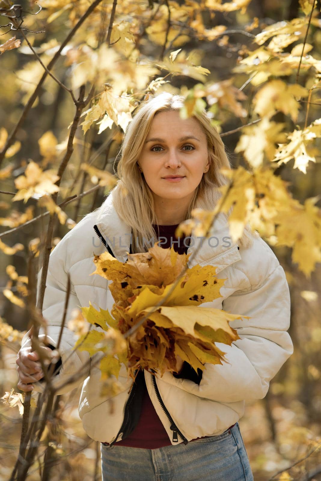 Portrait of a young blonde woman in the autumn forest, with a bouquet of yellow leaves in her hands. by leonik