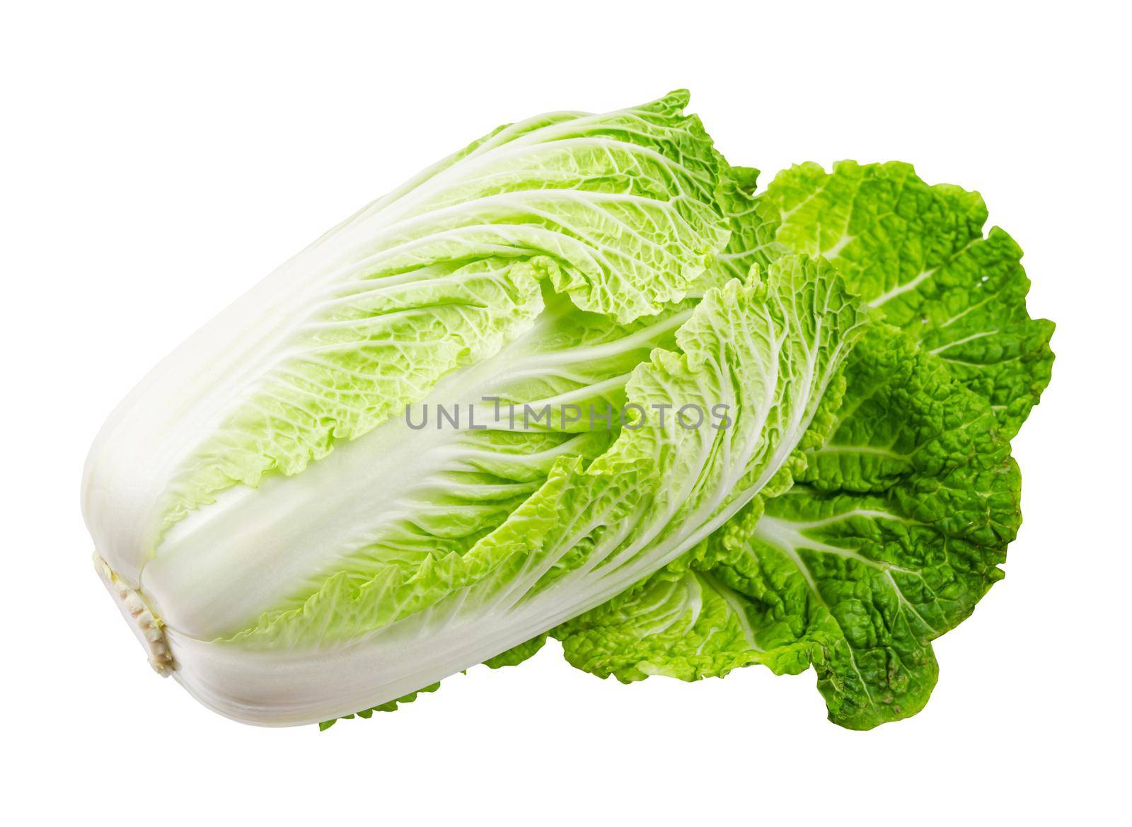 Napa cabbage or chinese cabbage isolated on white background, Save clipping path.