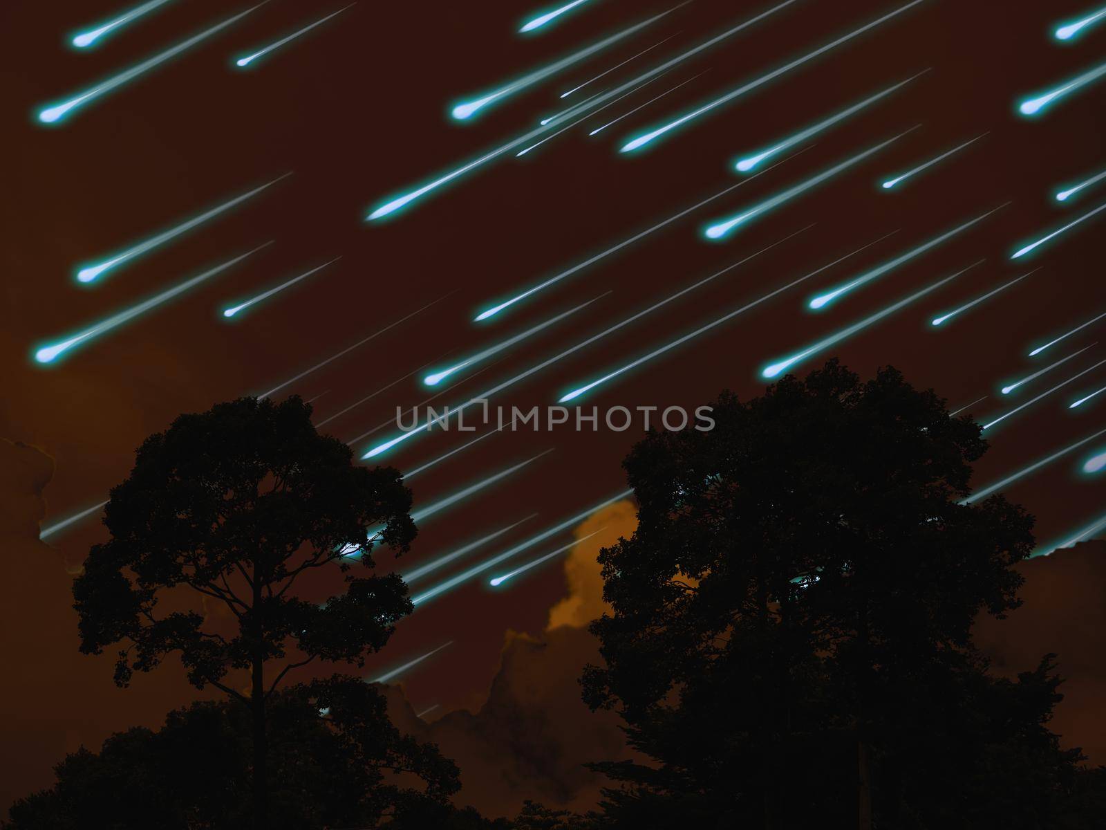 meteor on the night sky dark orange cloud and silhouette tree in tropic forest