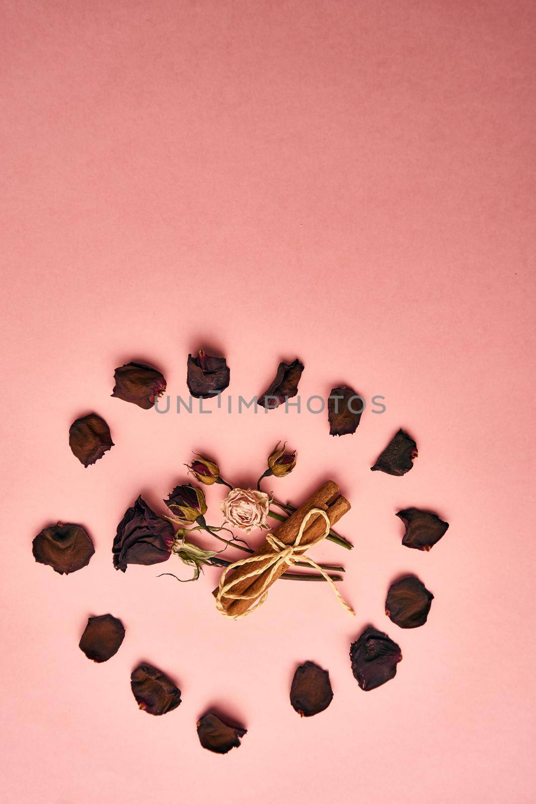 flowers decoration cinnamon pink background top view. High quality photo