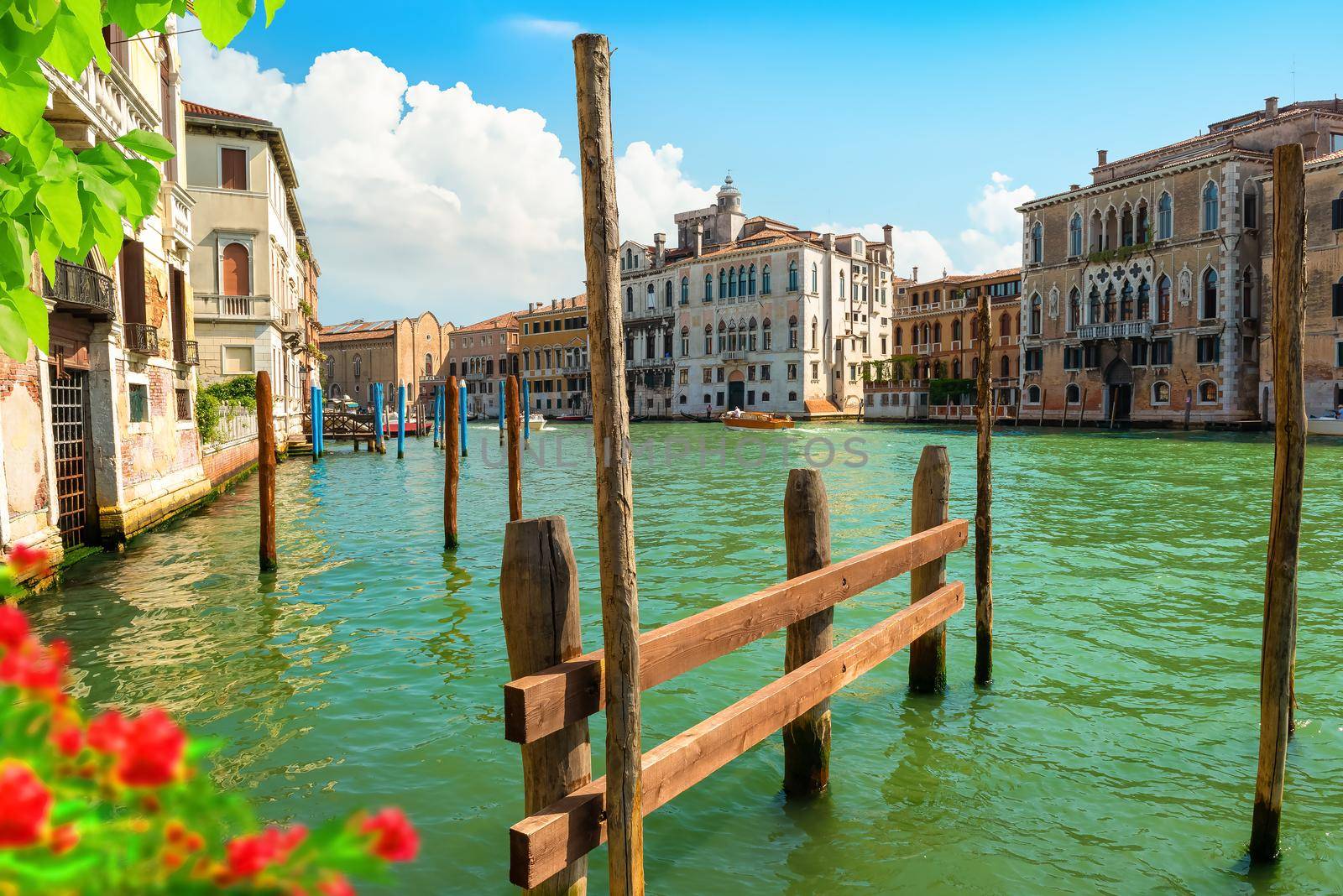 Flowers on a canal in Venice, Italy