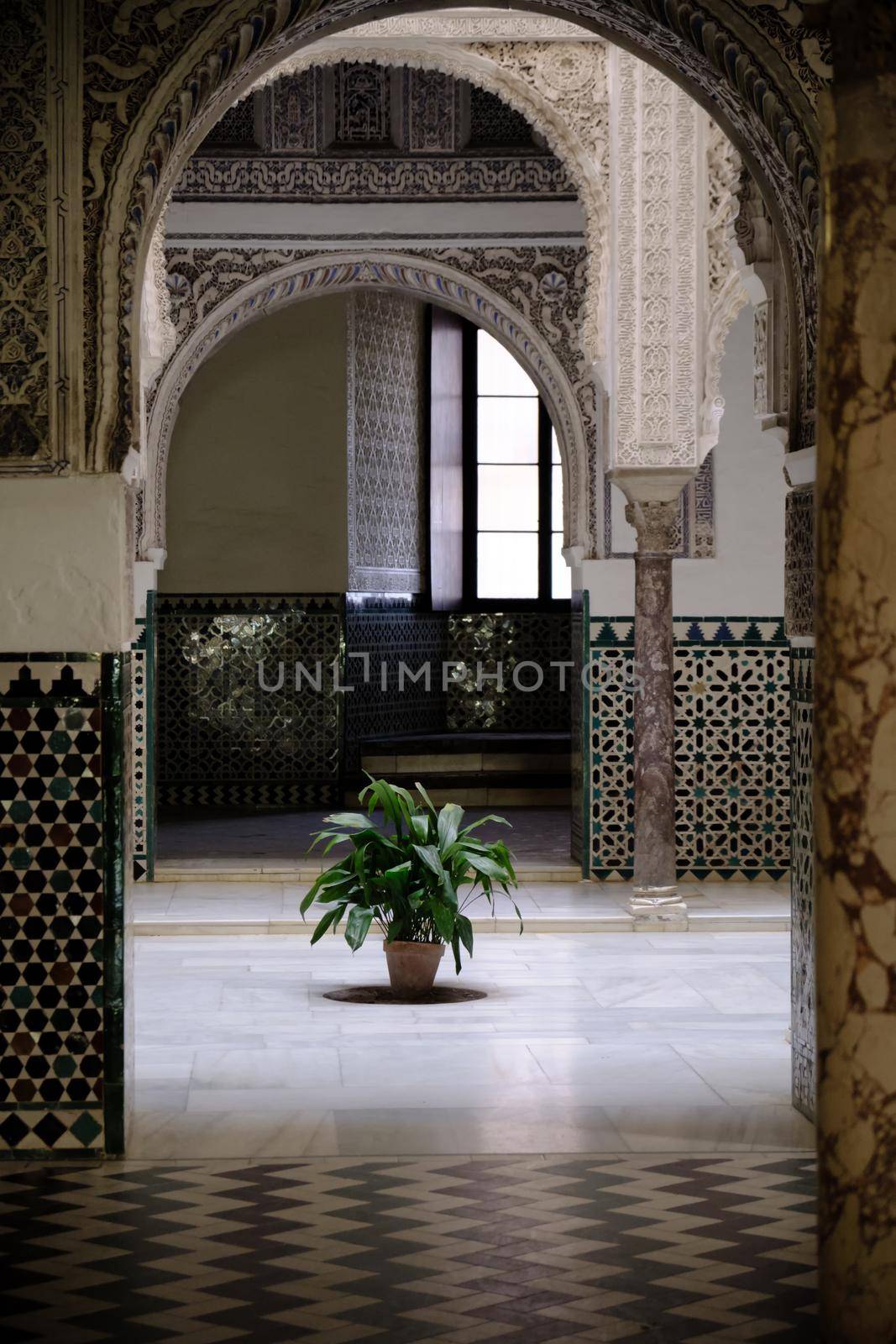 April 2019 - Seville Spain - Interior view of courtyard of Royal Alcazar with plant. by Sandronize