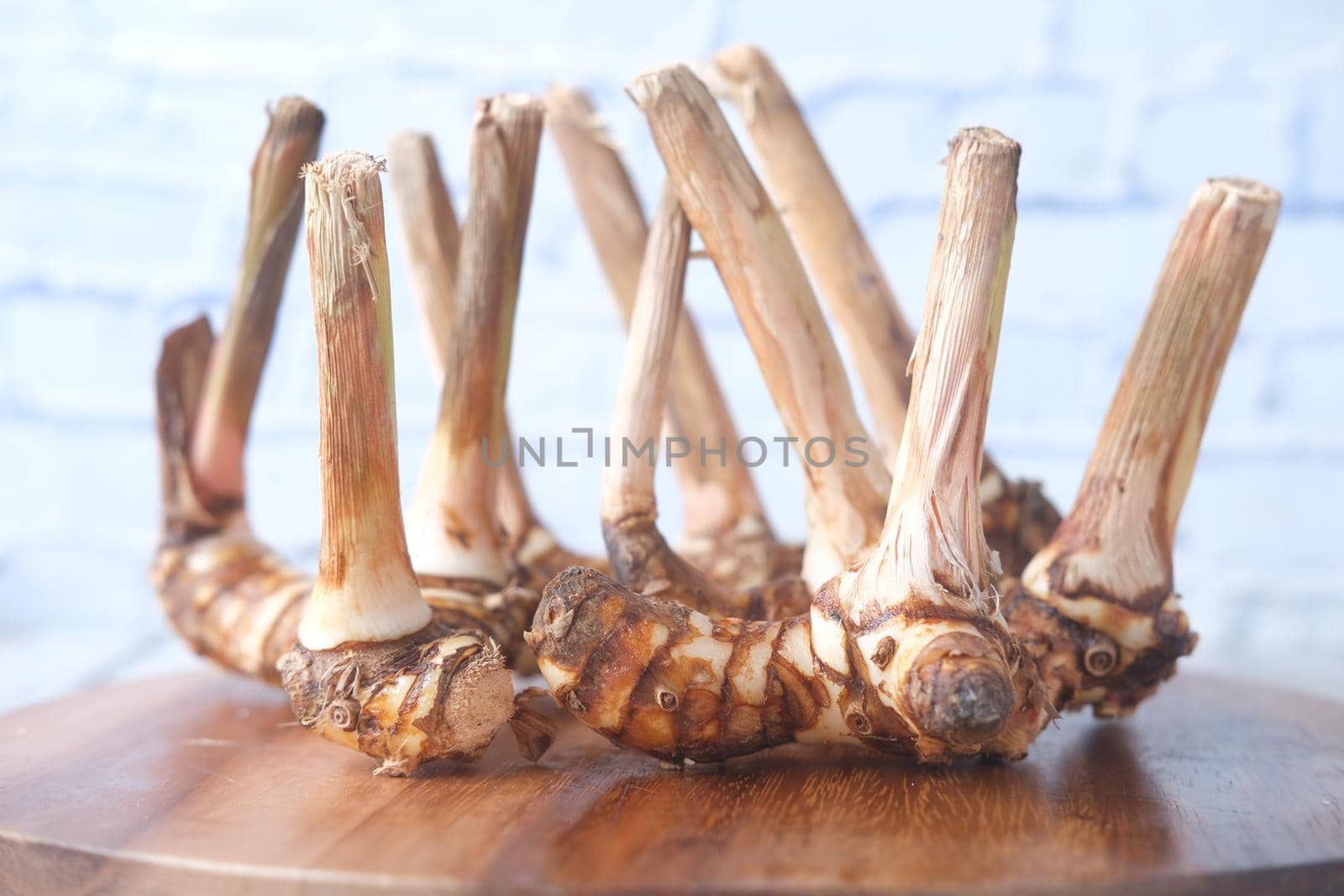 Close up of Gingers on chopping board